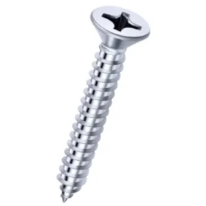 Self Tapping CSK PH Screw